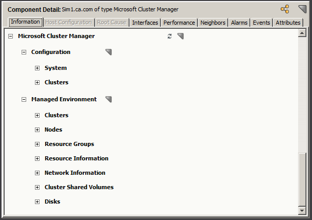Microsoft Cluster Manager subviews