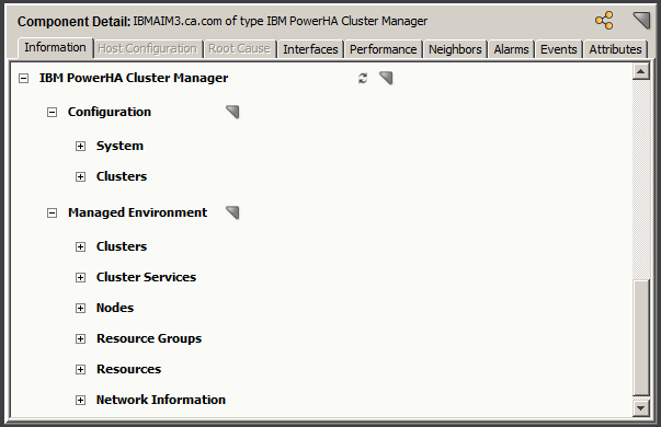 IBM PowerHA Cluster Manager subviews